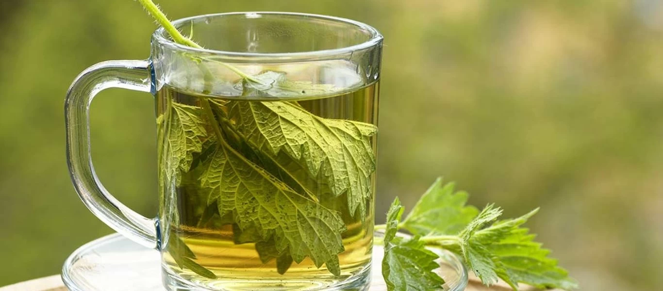 Αυτό είναι το βότανο που θα σας βοηθήσει με την απώλεια βάρους